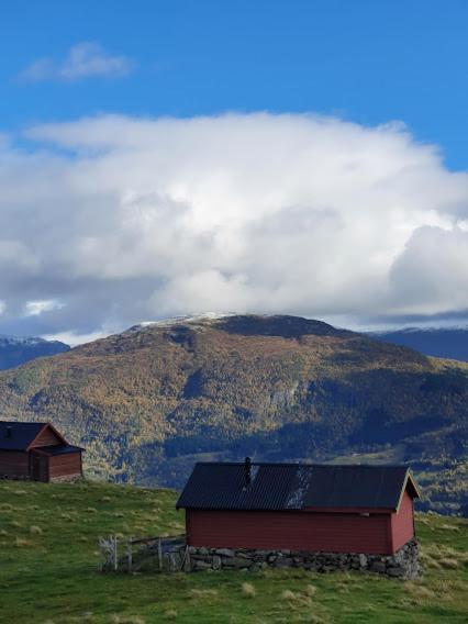 Molden 2-Fjellutsikt Og Jacuzzi Tilgang. Apartman Luster Kültér fotó